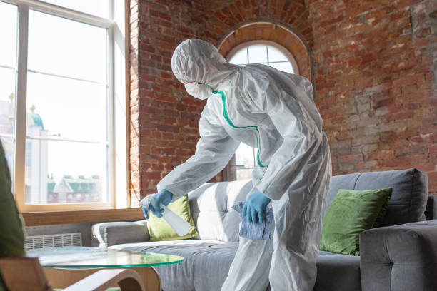 Best Emergency Mold Remediation in USA